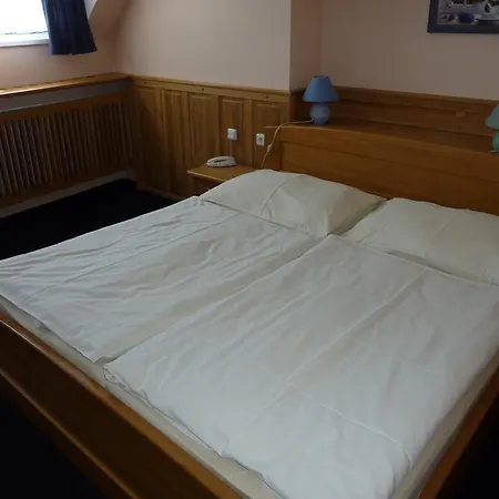 Hotel & Restaurant Na Frystatske 3*